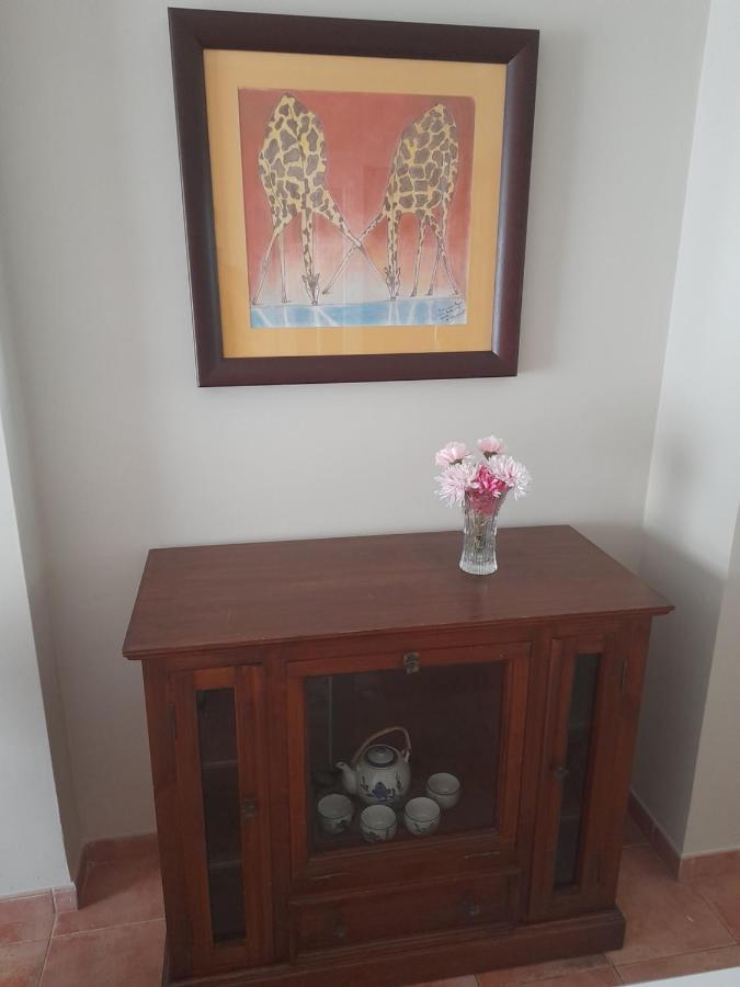 הוילה סן פרננדו La Casa De La Luz מראה חיצוני תמונה